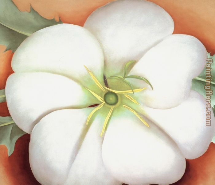 White flower on Red Earth No. 1 painting - Georgia O'Keeffe White flower on Red Earth No. 1 art painting